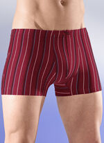 Sixpack broeken met een gestreept dessin 