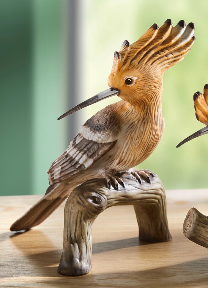 Goebel Vogel van het Jaar 2022 