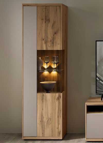 Vitrine met LED-verlichting 