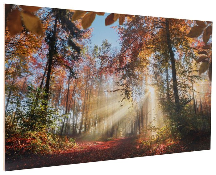 Kunstdrukreproductie van hoge kwaliteit 