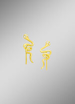 Bijzondere oorhaken met diamanten 