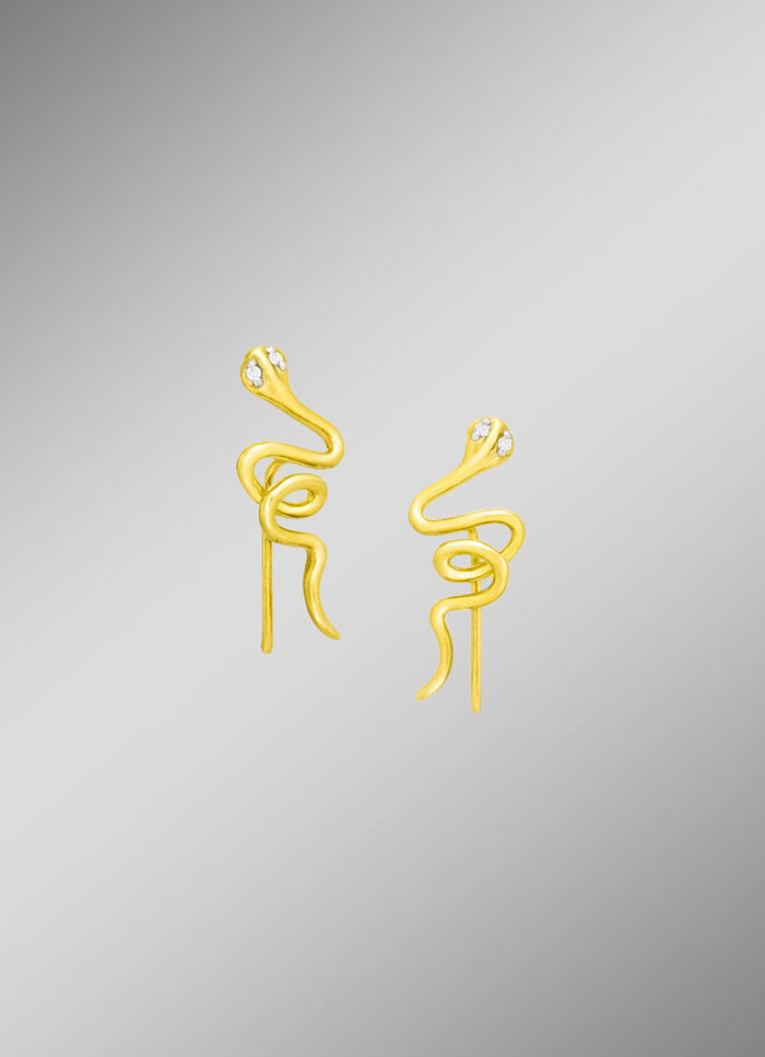 Bijzondere oorhaken met diamanten 