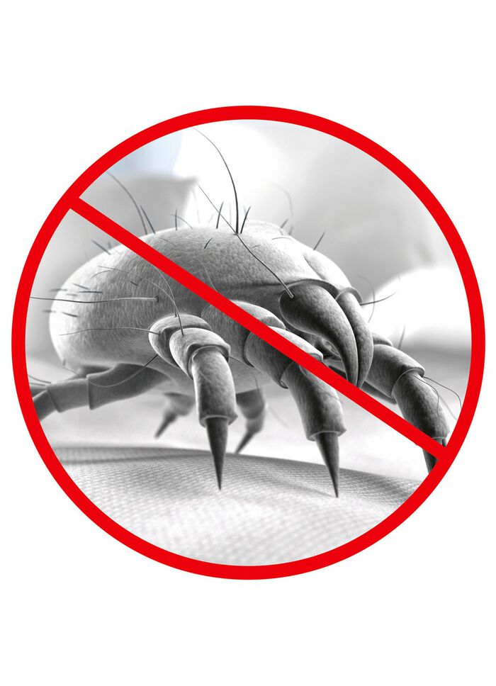 Mijtenstofzuiger &ndash; vernietigt 99,9% van alle mijten, bacteri&euml;n en ziektekiemen 