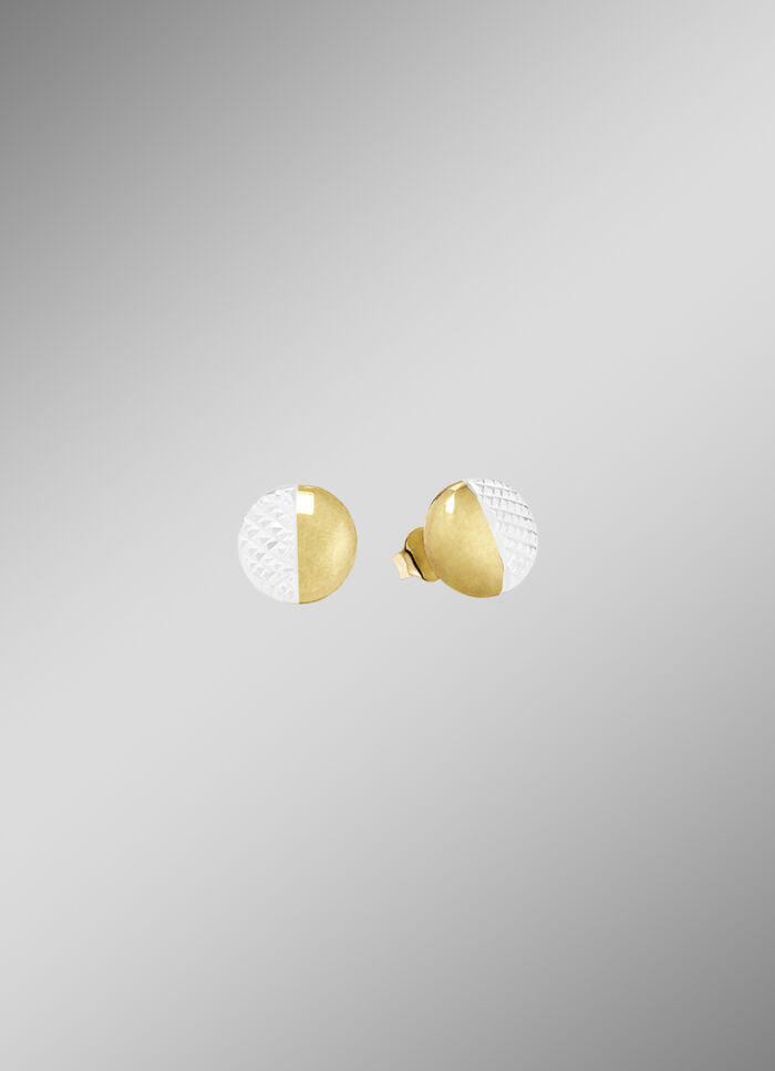 Oorknopjes in twee kleuren 