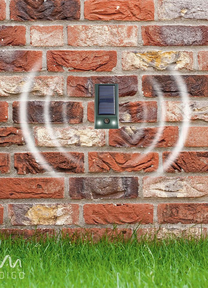 Solar-dierafweer Basic 