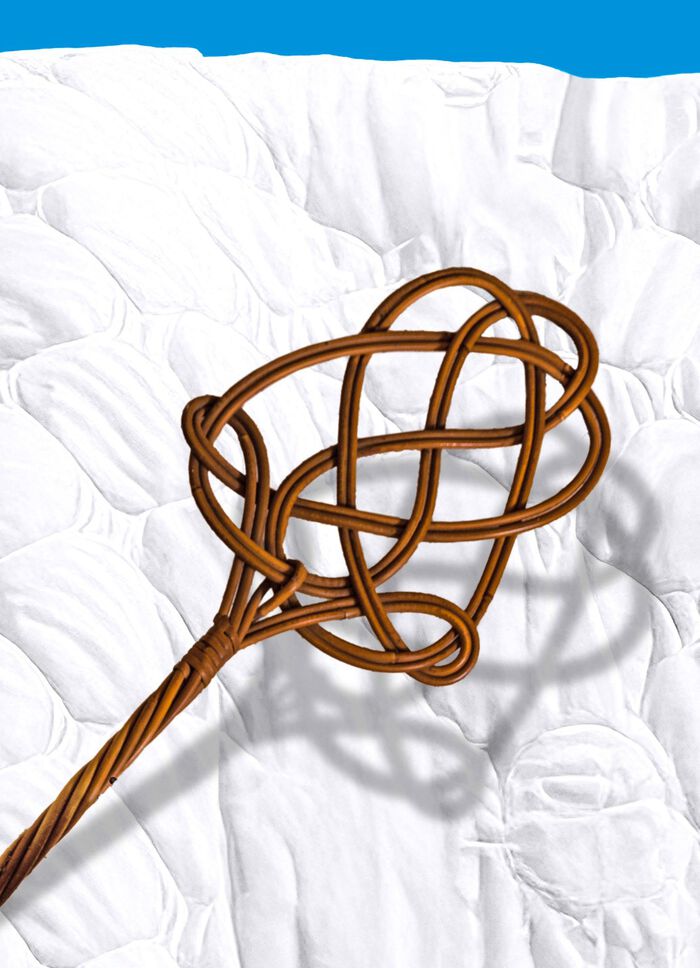 Mijtenstofzuiger &ndash; vernietigt 99,9% van alle mijten, bacteri&euml;n en ziektekiemen 