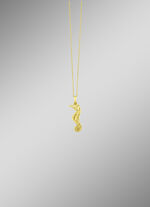 Zeepaardje hanger met structuur 