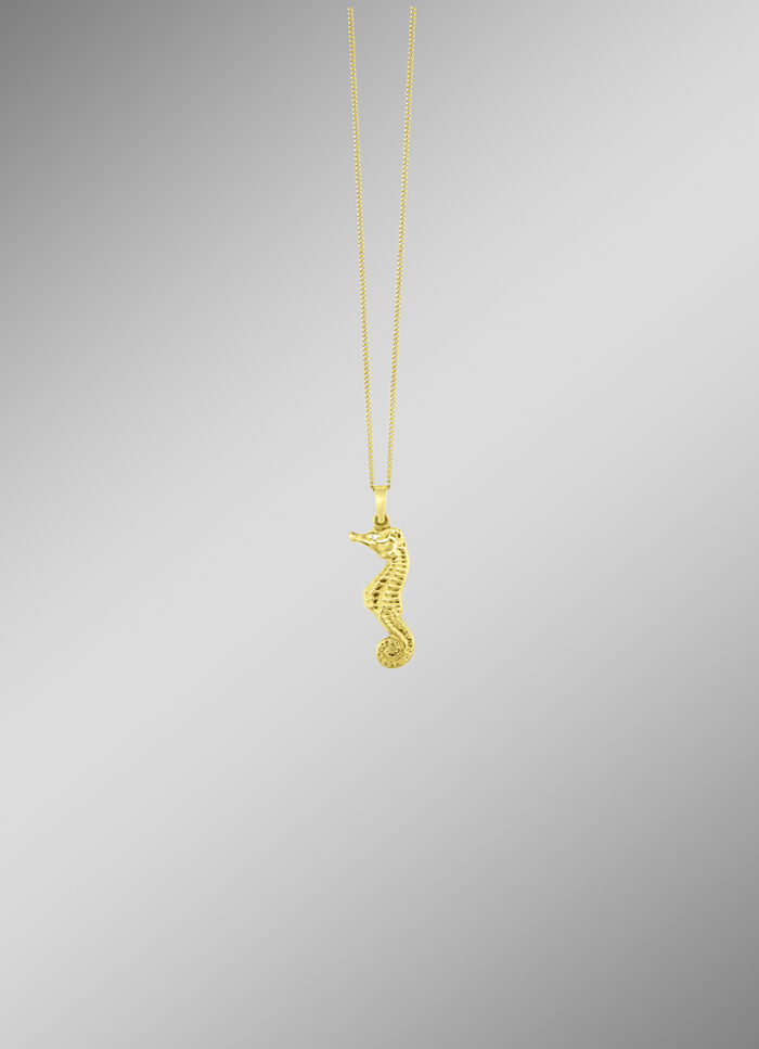 Zeepaardje hanger met structuur 