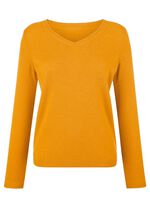 Trui met kasjmiergehalte MOSTERD