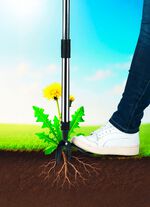 EASYmaxx onkruidsteker 