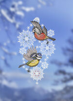 Raamdecoratie met zuignap 