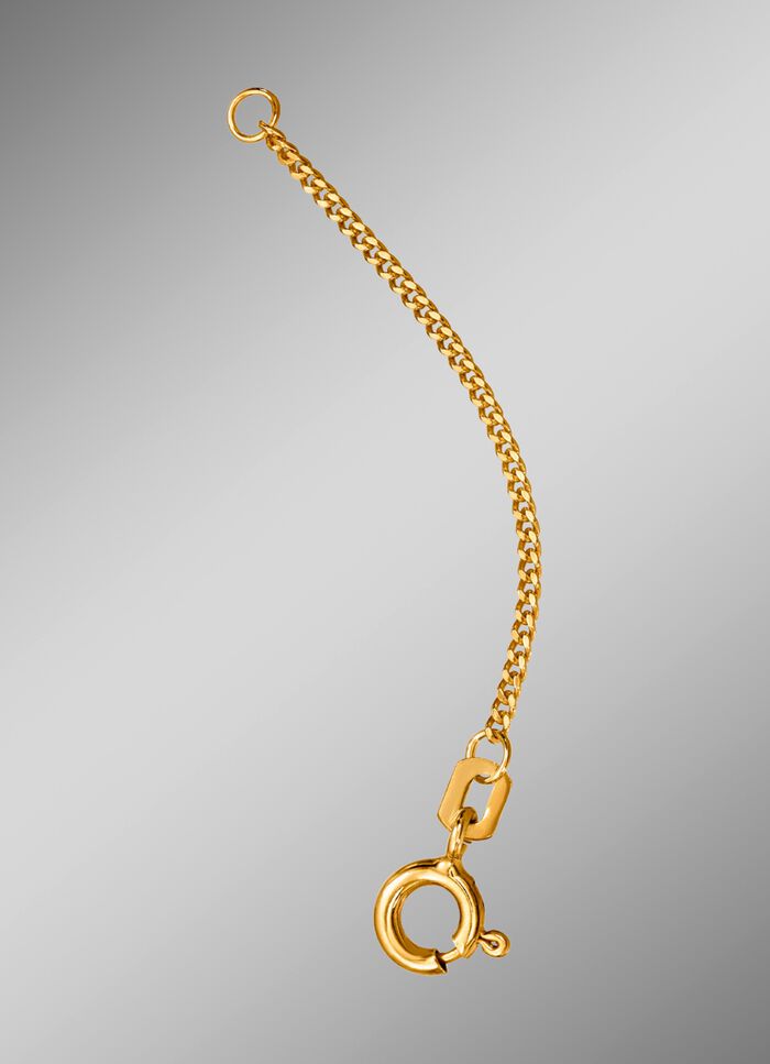 Pantser-verlengketting 