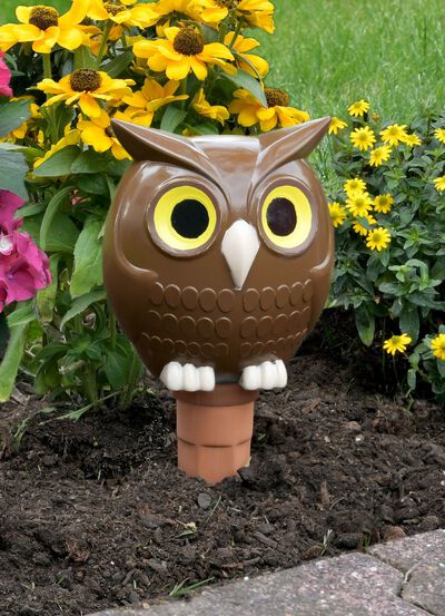 Jumbo-irrigatie-uil 