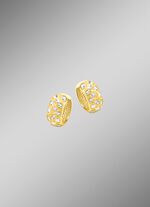 Tweekleurige creolen 