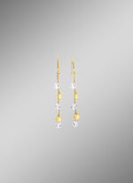 Stijlvolle oorhaken met zirkonia 