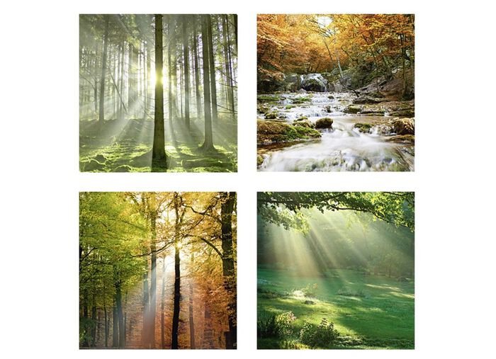 Schilderijenset, 4-delig, met bosmotieven 