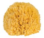 Badspons van natuurlijk materiaal 