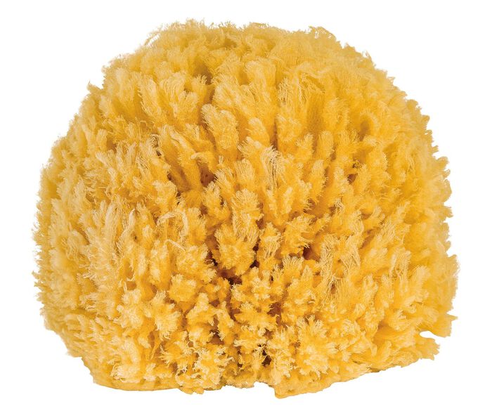 Badspons van natuurlijk materiaal 