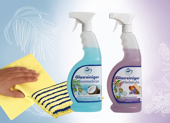 Glasreiniger Set 