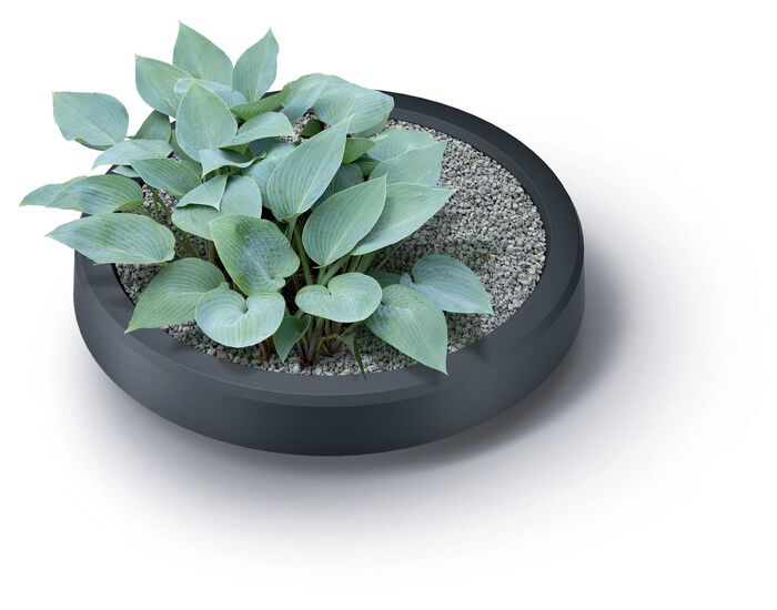 Regenton &ldquo;Maze&rdquo;, antraciet 