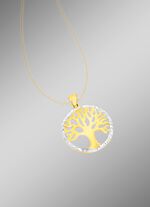 Mooie bicolor hanger met diamantrand 