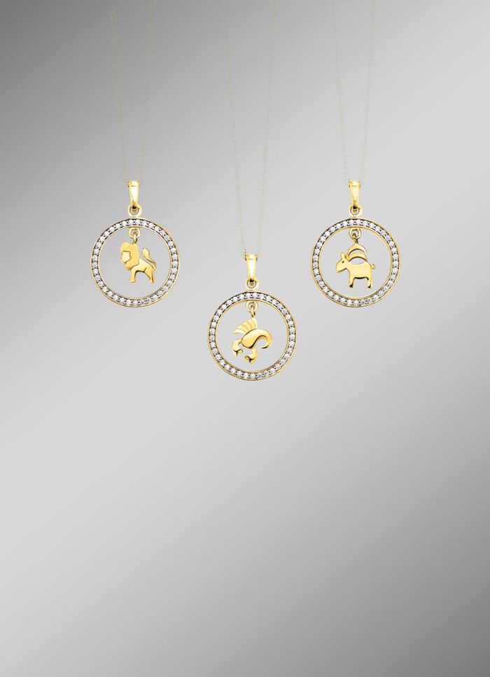 Gouden dierenriemhanger met zirkonia 