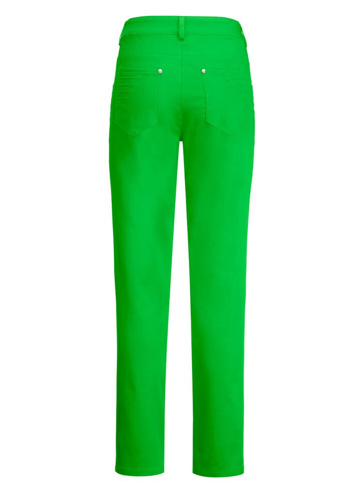 Broek met geplaatste plooien 