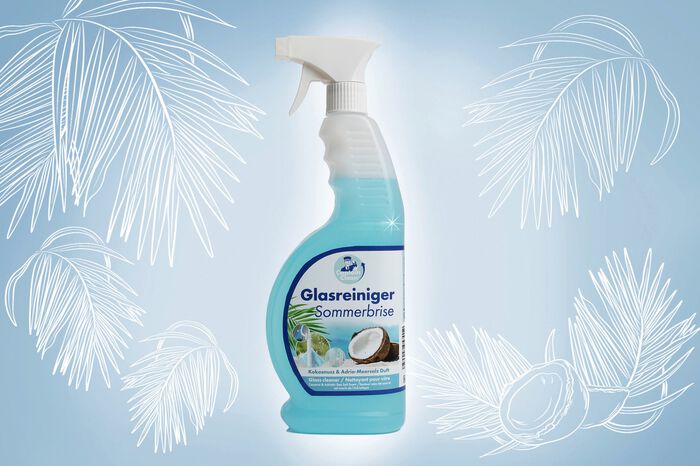 Glasreiniger Set 