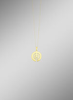 Omkeerbaar hangergroeisymbool