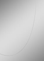 Fijne ankerketting van platina met karabijnhaak 