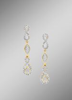 Wondermooie oorbellen 