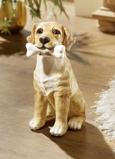 Schattige hond met bot 