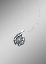 Hanger inclusief traan van de hemel 