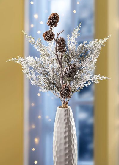 Thuja tak met echte kegels 