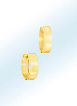 Elegante creoolse oorbellen 