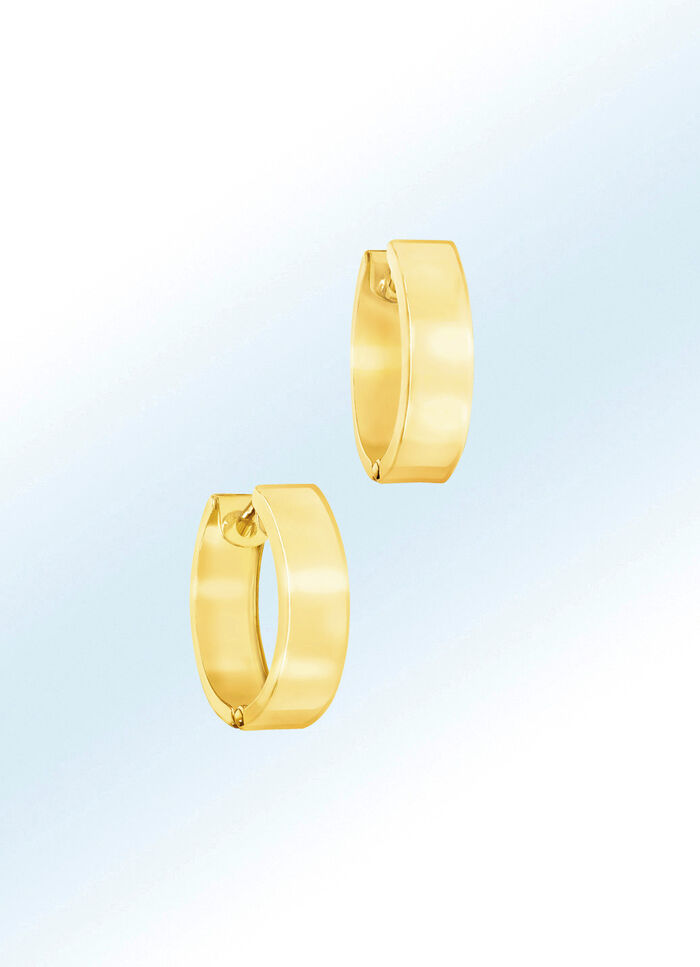 Elegante creoolse oorbellen 