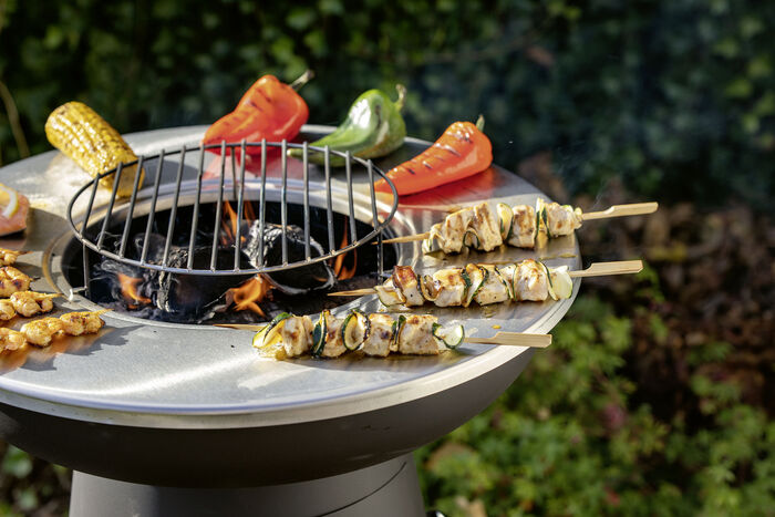 Landmann houtskoolgrill 
