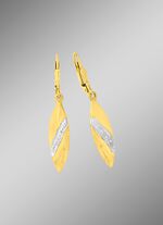 Mooie oorbellen tweekleurig 