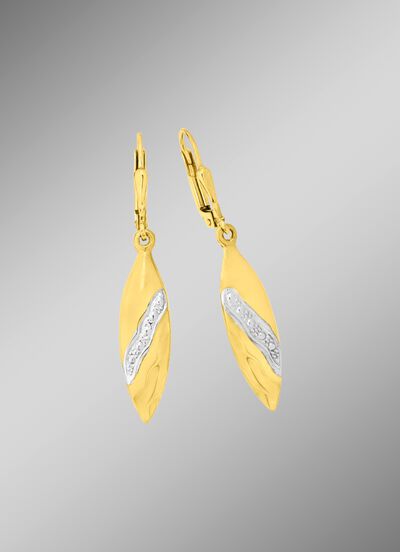 Mooie oorbellen tweekleurig 