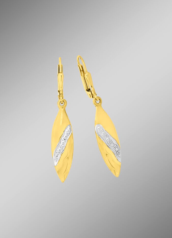 Mooie oorbellen tweekleurig 