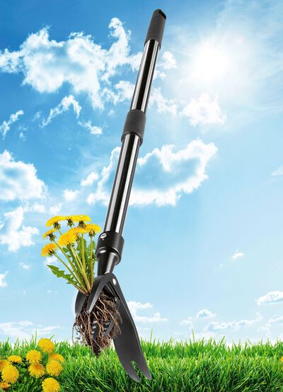 EASYmaxx onkruidsteker 