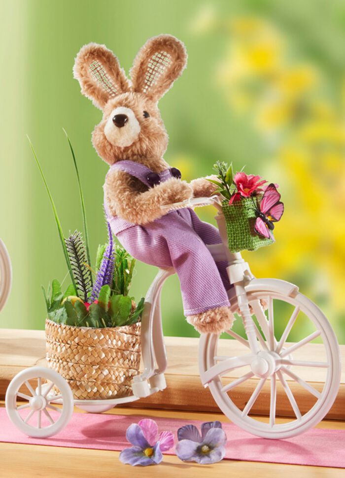 Konijntje op de fiets 