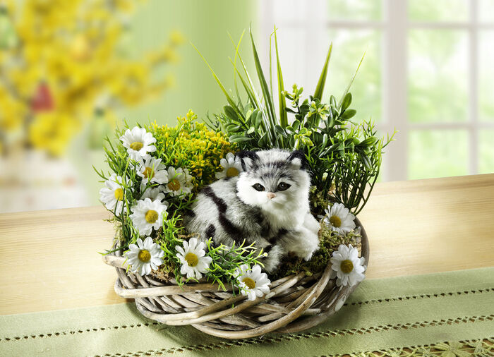 De kroon van de lijst met kat 