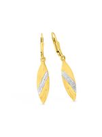 Mooie oorbellen tweekleurig 