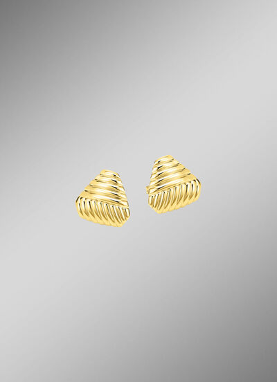 Prachtige oorbellen met groefontwerp 