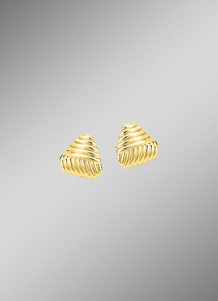 Prachtige oorbellen met groefontwerp 