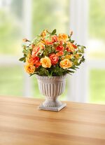 Wilde rozen in de beker 