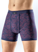 Pak van vijf onderbroeken met allover-print 