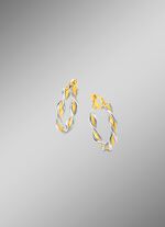 Gedraaide oorringen in twee kleuren 