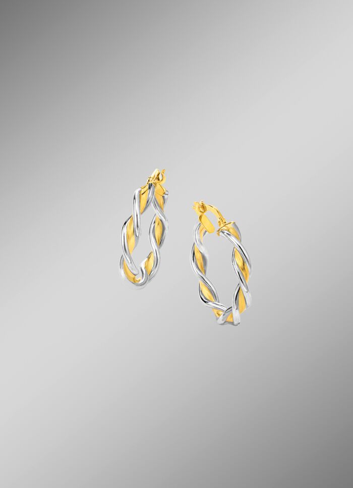 Gedraaide oorringen in twee kleuren 